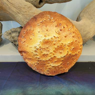 新疆美食特色抱枕