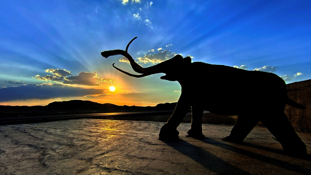 纪氏部落影视城