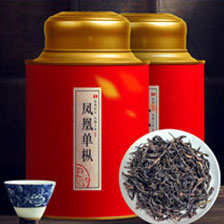 凤凰单丛茶