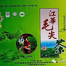 江华毛尖
