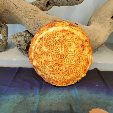 新疆美食特色抱枕