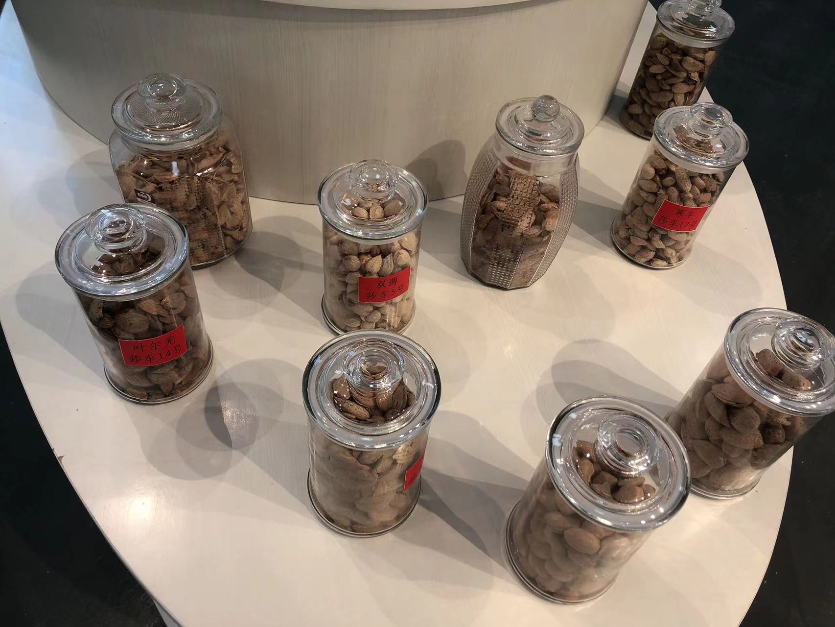 莎车巴旦木 (1).jpg