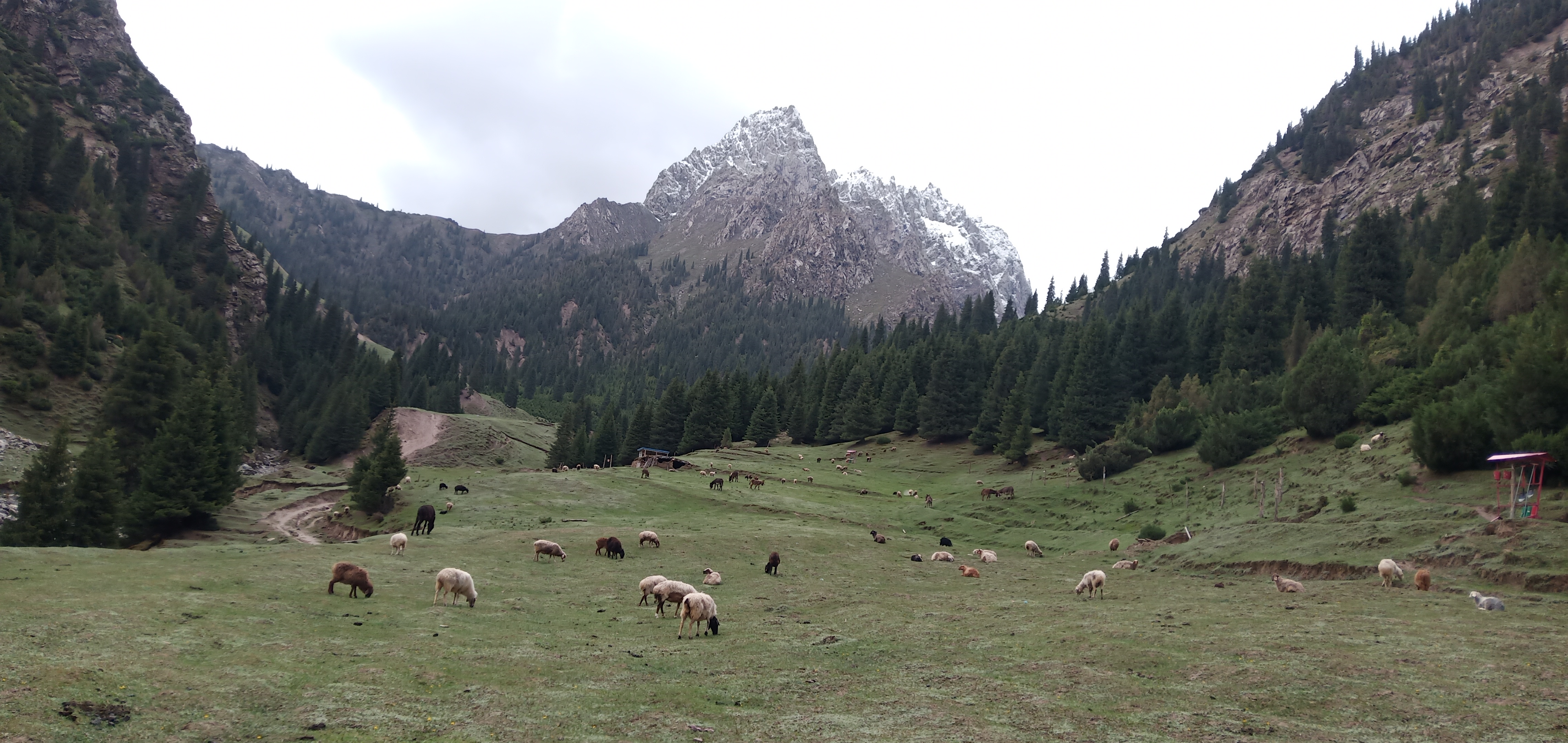 阿依布隆 (1).jpg