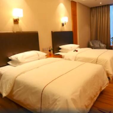 逸林至尊双床房