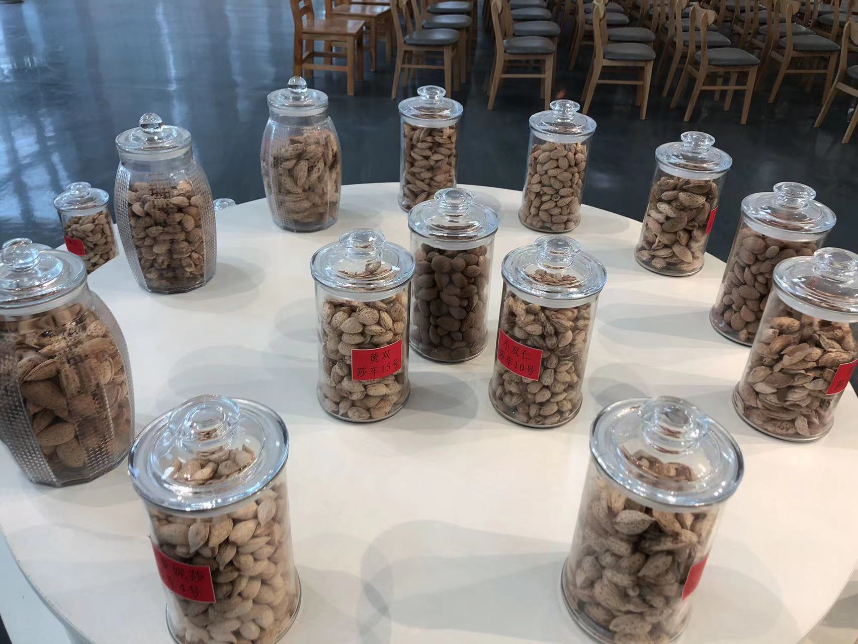 莎车巴旦木 (4).jpg