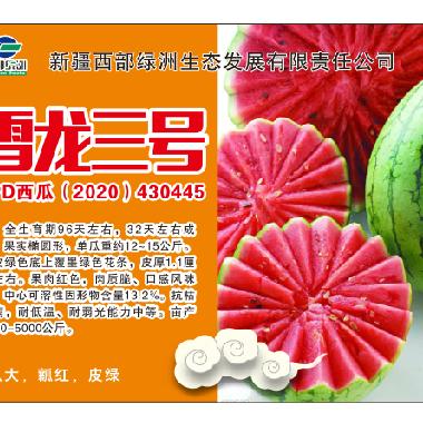 雪龙三号有籽西瓜