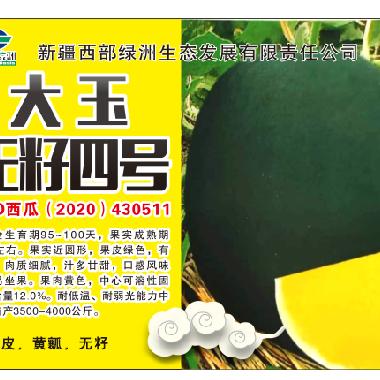 大玉四号黄壤无籽西瓜