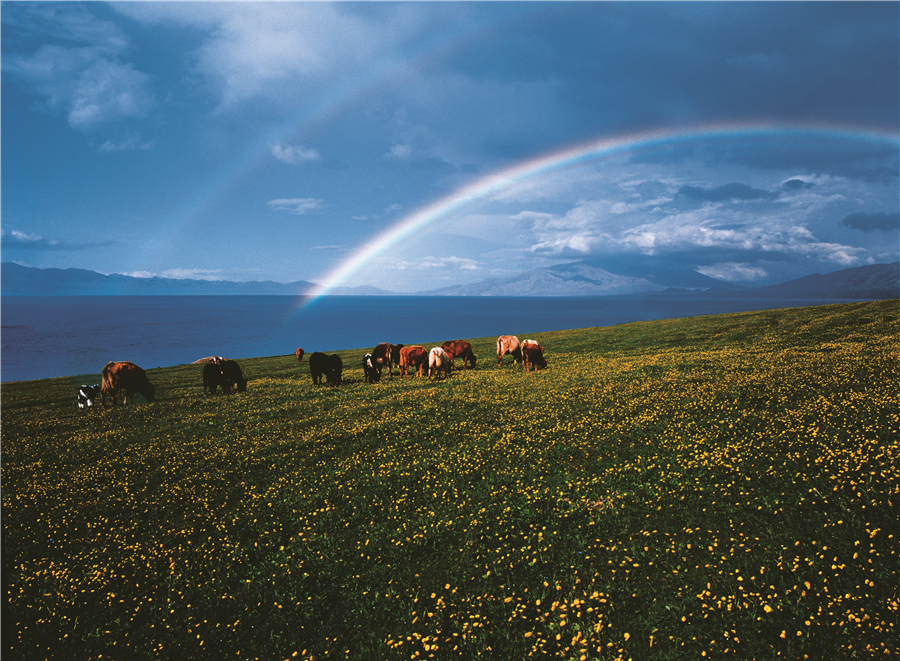 赛里木彩虹.jpg