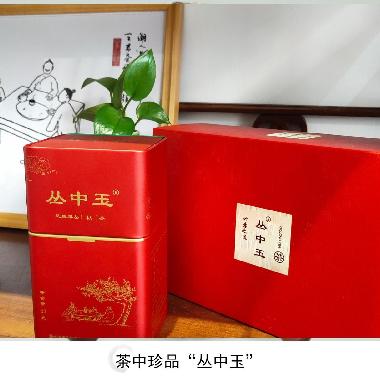 丛中玉绿色食品凤凰单丛茶