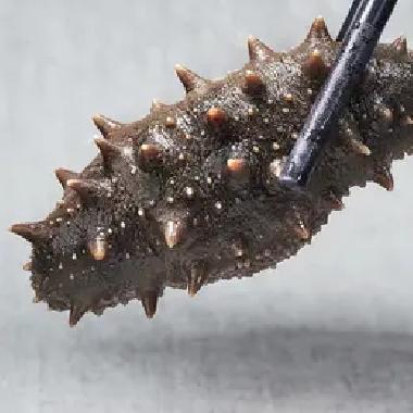 好当家冷冻即食海参 乐扣装500g