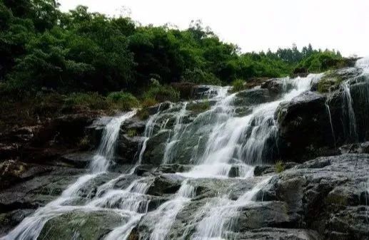 幽谷逸林旅游区