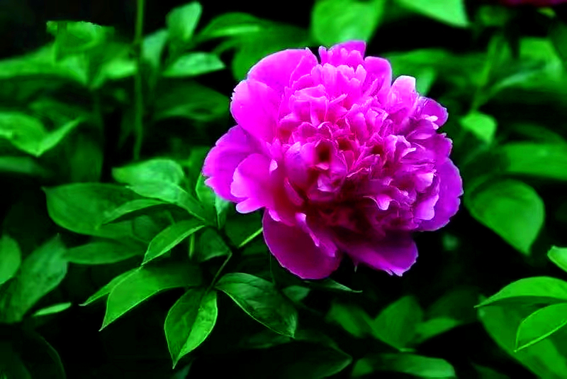 16b5c8387de5eca1caa3c56d403db20.jpg 16b5c8387de5eca1caa3c56d403db20.jpg