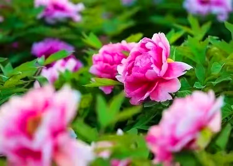 fd394339d5bb739f604b367b6864243.jpg fd394339d5bb739f604b367b6864243.jpg