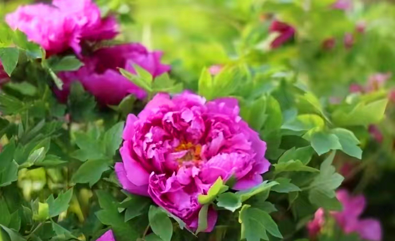 7ca43b21c74a0853ab5e7d9560d63da.jpg 7ca43b21c74a0853ab5e7d9560d63da.jpg