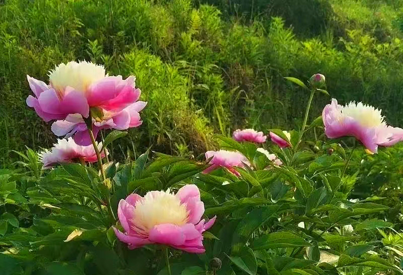 bc7ea04af13c4bd6612edb01667cf84.jpg bc7ea04af13c4bd6612edb01667cf84.jpg