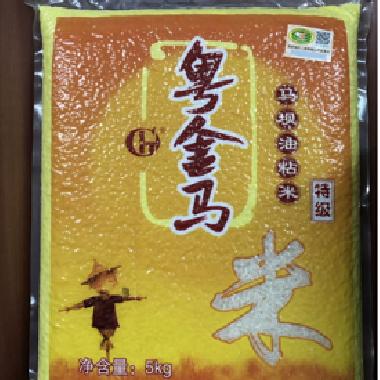 特级马坝油粘米