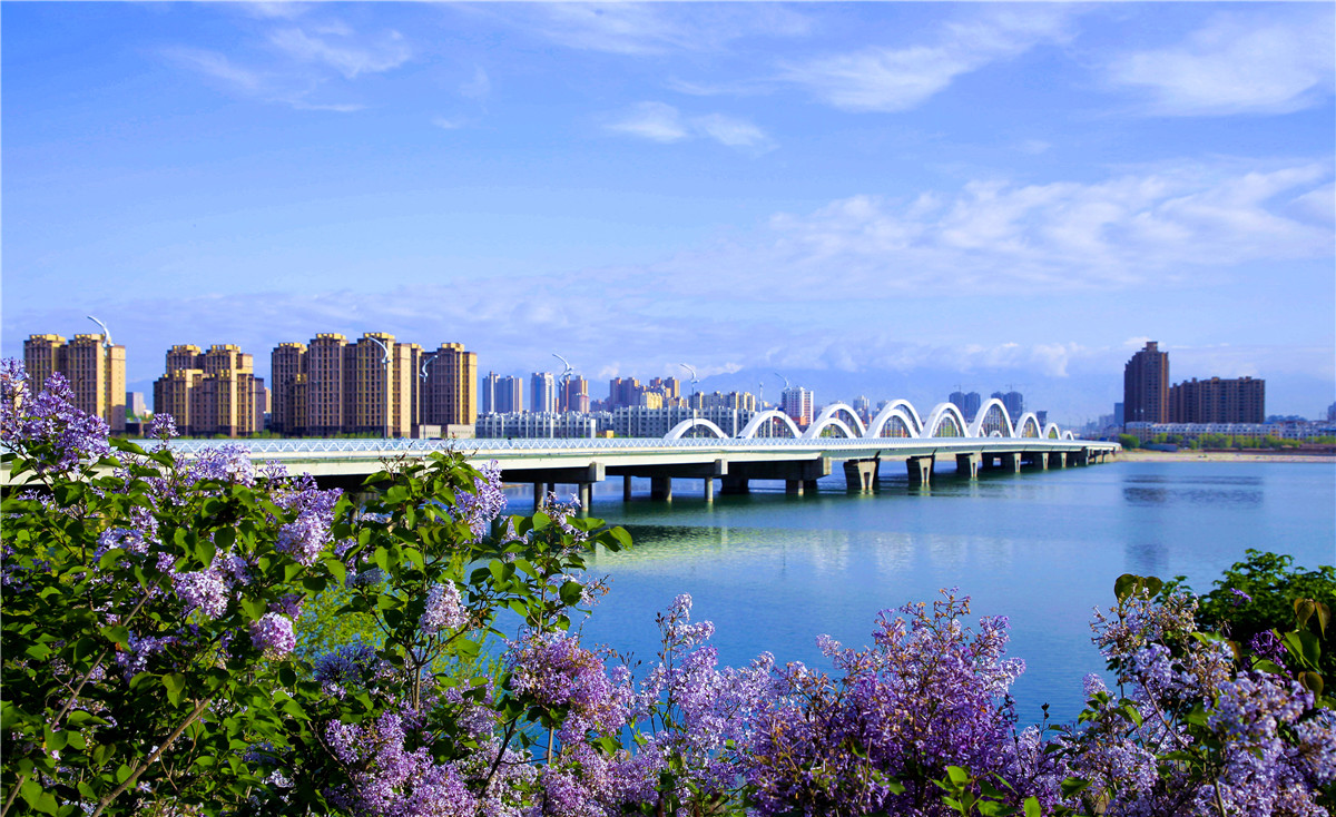 镜湖春色 姚萍.jpg