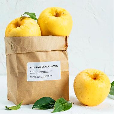 维纳斯黄金8枚装