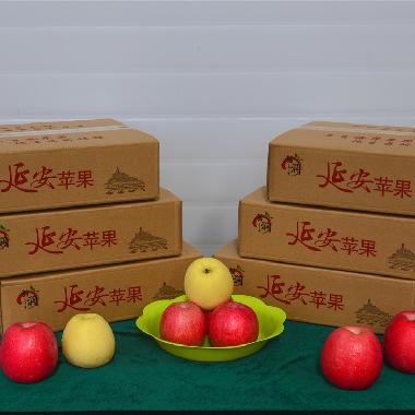 红富士12枚精品装