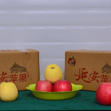 红富士24枚实惠装