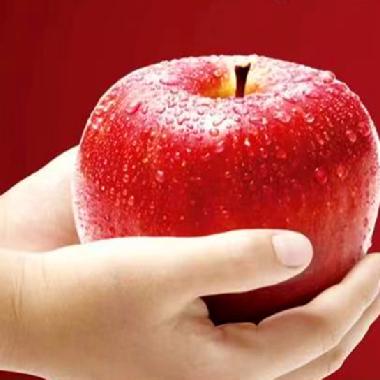 延安苹果24枚精品装