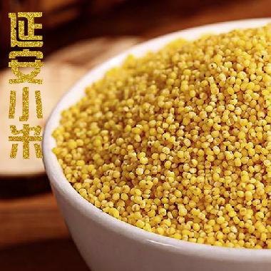 延安小米