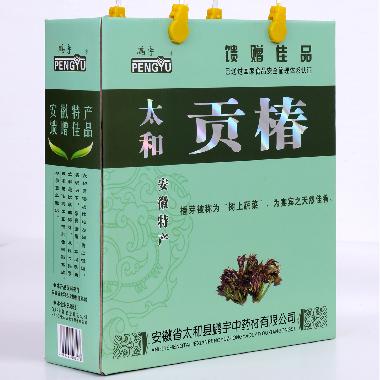 太和贡椿 80*10袋/礼盒