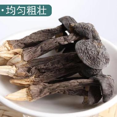 黑皮鸡枞菌（干）