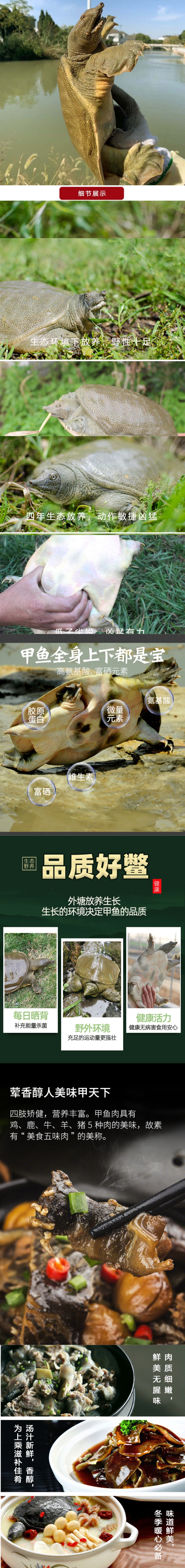 1详情页甲鱼.jpg
