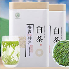 安吉白茶