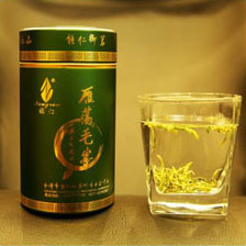 雁荡毛峰