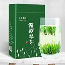 湄潭翠芽