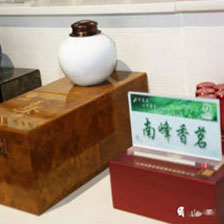 毛建草茶